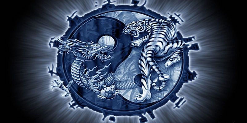 ค้นพบกฎกติกาของ Dragon Tiger M98